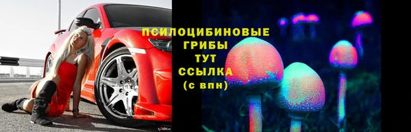 не бодяженный Инсар