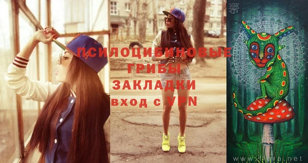таблы Каменка