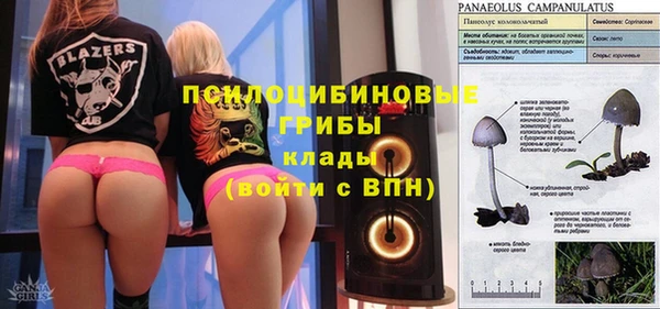 таблы Каменка