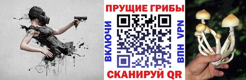 Галлюциногенные грибы прущие грибы  Купить  Богородицк 